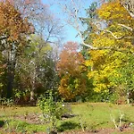 D'hotes Et Roulotte Au Bonheur Du Parc 3* Le Breuil (Allier)