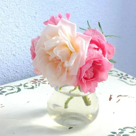 D'hôtes Au Bonheur Du Parc 3*