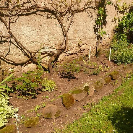 D'hotes Et Roulotte Au Bonheur Du Parc Bed & Breakfast Le Breuil (Allier)