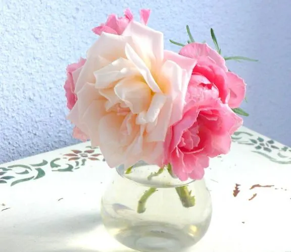 D'hotes Et Roulotte Au Bonheur Du Parc 3*