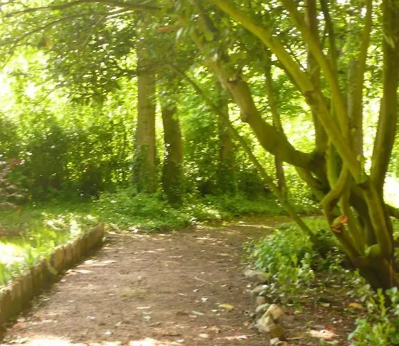 D'hotes Et Roulotte Au Bonheur Du Parc 3* Le Breuil (Allier)