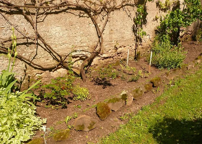 D'hotes Et Roulotte Au Bonheur Du Parc Bed & Breakfast Le Breuil (Allier)