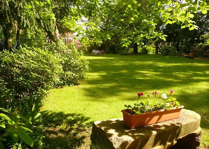 D'hotes Et Roulotte Au Bonheur Du Parc Bed & Breakfast Le Breuil (Allier)